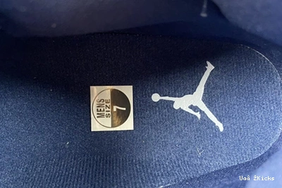 Navy Jordan Practical 11 AR0715-441 Retro Midnight 690 0730